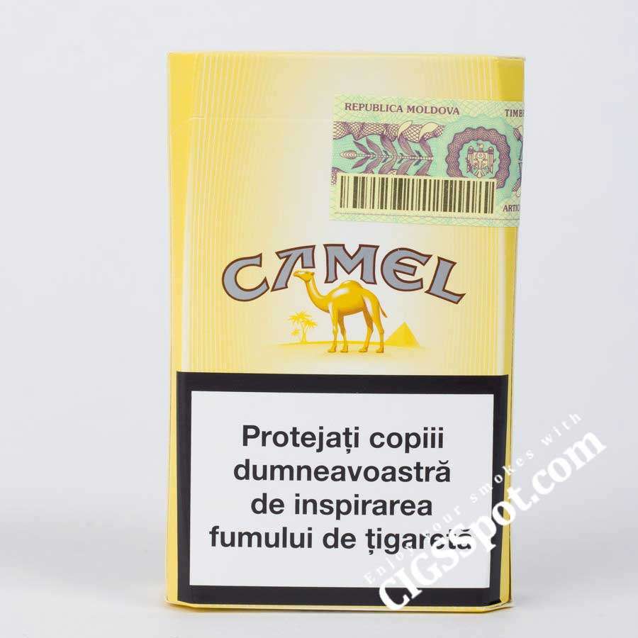 Camel Filters